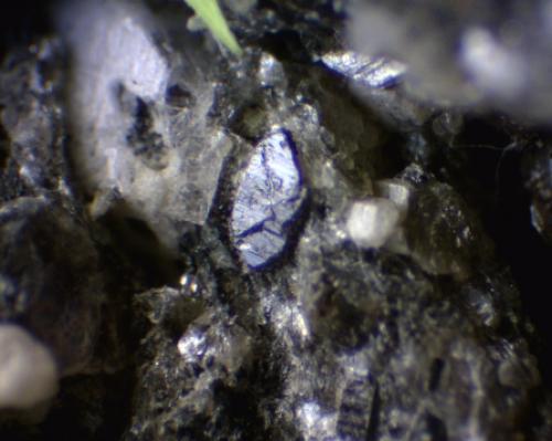 image of S-0219
